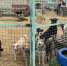 EC0D43A0-B357-452F-9796-54D1623A1EA1.jpeg+2022-10-26-15.56.31.jpg - Gorod48.ru