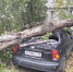 38e30cb2-01fc-496a-a9b9-cc97ed0d75ca.jpg - Gorod48.ru