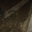 подвал6.jpg+2022-11-02-09.48.31.jpg - Gorod48.ru