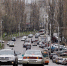 Роспотребнадзор проконсультирует липчан по услугам такси и каршеринга - Gorod48.ru