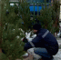 Интерактивную карту с 65 елочными базарами опубликовали в Липецке - Липецкая ГТРК