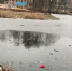 Вопрос об ограждении опасного пруда в Ельце уже поднимали - Gorod48.ru