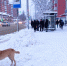 За ночь в Липецке выпала четверть месячной нормы осадков - Gorod48.ru