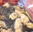 Под Липецком создали фантомную площадку для продажи продуктов неизвестного происхождения - Липецкая ГТРК