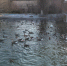 DJI_0035.MP4_snapshot_00.19.jpg - Gorod48.ru