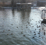 DJI_0034.MP4_snapshot_00.04.jpg - LipetskMedia.Ru