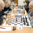 Медальные расклады ветеранов - Championat48.Ru