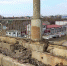 «Птичка нету, улетела, все!» - Gorod48.ru