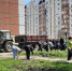 Депутаты горсовета приглашают жителей на субботники - Городской совет депутатов