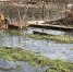 IMG_3329 копия копия.jpg+2023-04-07-17.17.01+niz.jpg - Gorod48.ru
