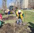img-big-0 - Gorod48.ru