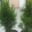 IMG-20230505-WA0002_.jpg - УМВД Липецкой области