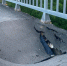 4975ac02cd8a80d660c96aebfdce1749.jpeg - Gorod48.ru