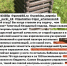 «Позорище и уродство»: липчане недовольны тем, как покрасили деревянные композиции в Нижнем парке - Gorod48.ru