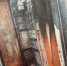 img-big-0 - Gorod48.ru