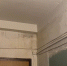 WhatsApp Image 2023-07-11 at 16.49.09 (1).jpeg+2023-07-11-16.53.01+niz.jpg - Gorod48.ru