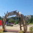 Развлекаться. Узнавать новое. Гулять: где праздновать День города - Gorod48.ru