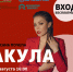Акула приплывёт к Зелёному острову в Липецке и споёт для горожан - LipetskMedia.Ru