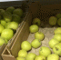 Как бороться с выбросом продуктов в мусорку? - GorodLip.Ru