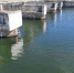 Опасно ли для человека купание в цветущей воде Матырского водохранилища? - LipetskMedia.Ru