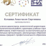 Организация воспитательной работы в образовательных организациях СПО - Металлургический колледж