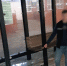Липчанин разбил две автобусные остановки после ссоры с девушкой - МОЁ! Липецк