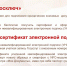 Региональные услуги - онлайн - МФЦ