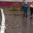 Пенсионер, на которого упало в Липецке дерево, умер в больнице - LipetskMedia.Ru