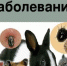 Профилактика жестокого обращения с пожилыми людьми - ГУЗОТ Центр медицинской профилактики