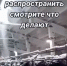 Молочная ферма "Петровский агрокомплекс" продолжит работу и будет отремонтирована - LipetskMedia.Ru
