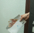 В «командировки» по России за счёт бюджетных средств ездила жительница Липецкой области - LipetskMedia.Ru