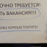 За кем охотятся работодатели. Топ-10 самых востребованных профессий Липецкой области - LipetskMedia.Ru