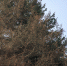 0J2A6770.jpg - Gorod48.ru