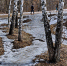 DSC0849912.jpg - Gorod48.ru