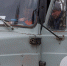 Изображение WhatsApp 2024-03-06 в 17.09.07_da86ed45.jpg - Gorod48.ru