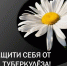 Образовательные учреждения города присоединись к проведению месячника, приуроченного к Всемирному дню борьбы с туберкулезом - Департамент образования