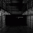 Фото: unsplash. com - МОЁ! Липецк