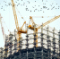 Фото: unsplash. com - МОЁ! Липецк