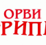Профилактика избыточного веса и ожирения - ГУЗОТ Центр медицинской профилактики