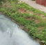 J5PtWADE1Iw.jpg+2024-04-26-17.57.31+niz.jpg - Gorod48.ru