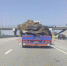 Танк Abrams заметили на трассе под Ельцом - МОЁ! Липецк