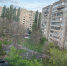Куда обращаться, если в вашем дворе есть сухое дерево - Gorod48.ru