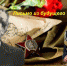 Патриотический проект "Письма из будущего". Благодарность участнику Великой Отечественной войны Василию Вангелевичу Антофике от правнука кадета профильного класса СК России Добри Богдана - Следственный комитет