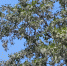 3466e881-86fd-4571-84bd-fead04b3dd2f.jpg - Gorod48.ru