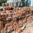 3aa2bce7-1356-4399-868a-3cb2c17eb456.jpg - Gorod48.ru