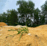 78963c8b-b9d1-4e2c-9a5c-3a79757da2b8.jpg - Gorod48.ru