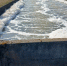 66742E2C-B3FB-4E56-BF9B-06E928B23242.jpeg - Gorod48.ru