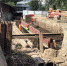 6ba2c1dc-c325-45dd-8811-01f34423ccaa.jpg - Gorod48.ru