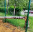 5568E476-C6A7-4937-A797-447EC17350E9.jpeg+2024-06-28-11.40.02.jpg - Gorod48.ru