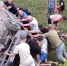 8854ECB5-CC72-4219-AE31-3CB81FEDA699.jpeg - Gorod48.ru